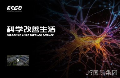 点击查看